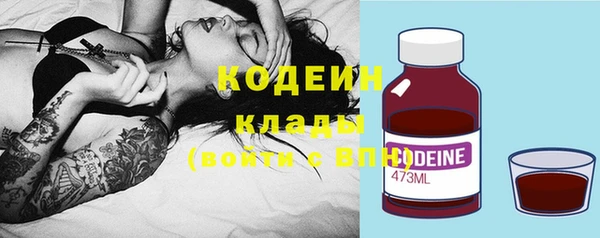 прущие грибы Белокуриха