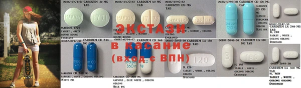 прущие грибы Белокуриха