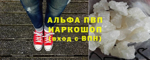прущие грибы Белокуриха