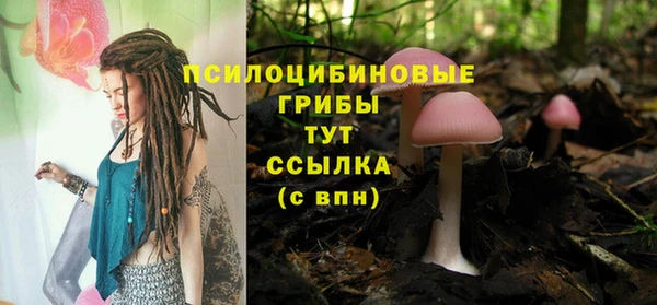 прущие грибы Белокуриха