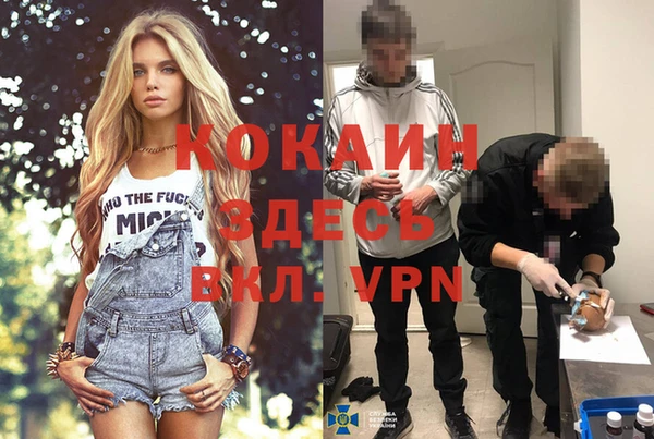 прущие грибы Белокуриха