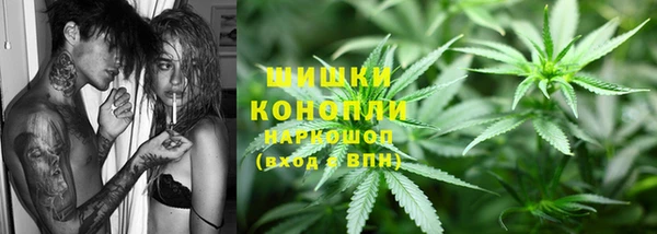 прущие грибы Белокуриха