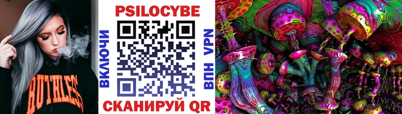 где можно купить наркотик  Болохово  Галлюциногенные грибы Cubensis 