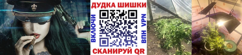 Конопля Amnesia Болохово
